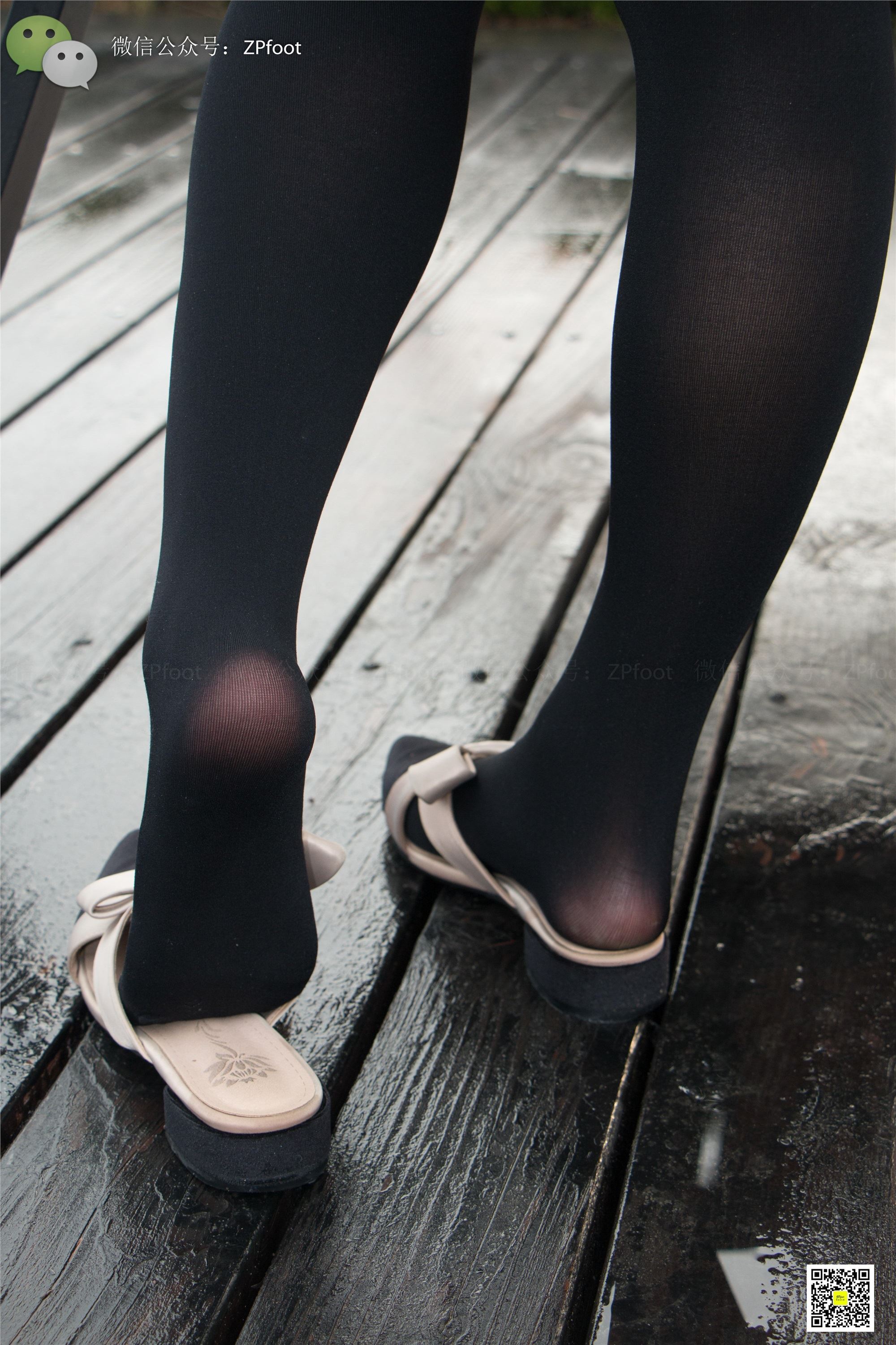 LSS山茶摄影 NO.013 芍药的厚黑丝